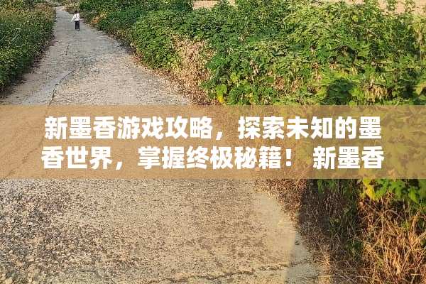 新墨香游戏攻略，探索未知的墨香世界，掌握终极秘籍！ 新墨香游戏攻略