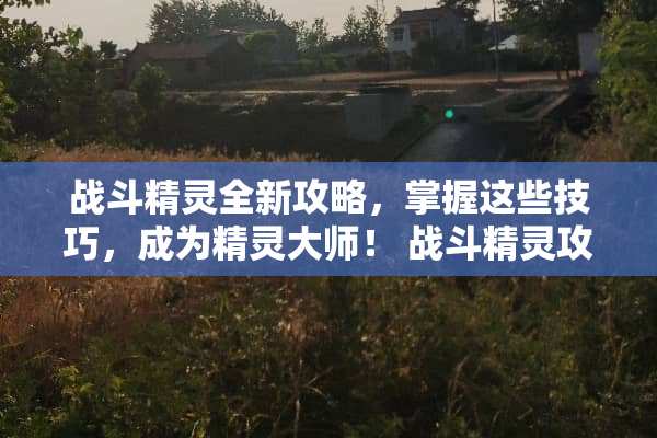 战斗精灵全新攻略，掌握这些技巧，成为精灵大师！ 战斗精灵攻略