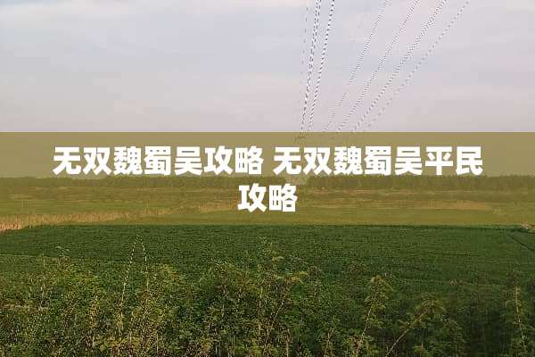 无双魏蜀吴攻略 无双魏蜀吴平民攻略