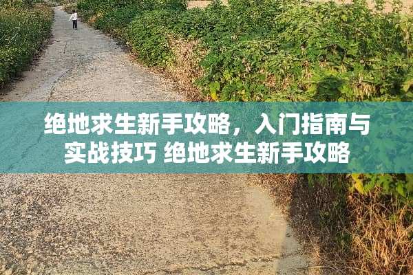绝地求生新手攻略，入门指南与实战技巧 绝地求生新手攻略