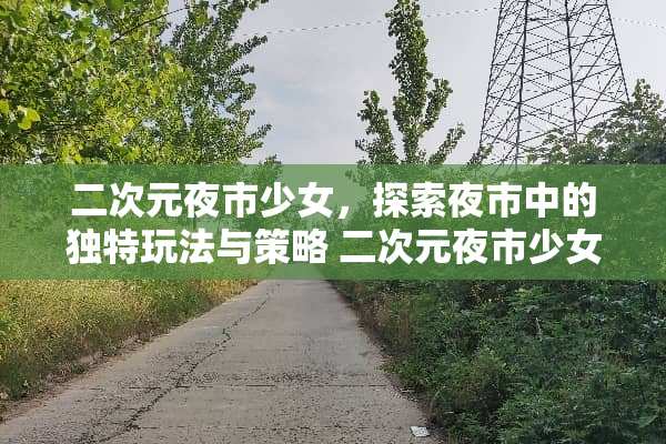 二次元夜市少女，探索夜市中的独特玩法与策略 二次元夜市少女玩法