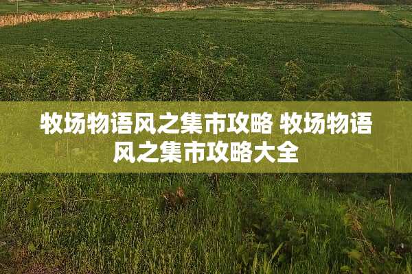 牧场物语风之集市攻略 牧场物语风之集市攻略大全
