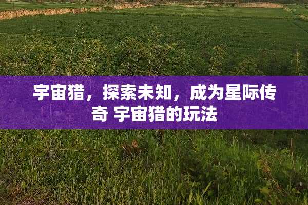 宇宙猎，探索未知，成为星际传奇 宇宙猎的玩法