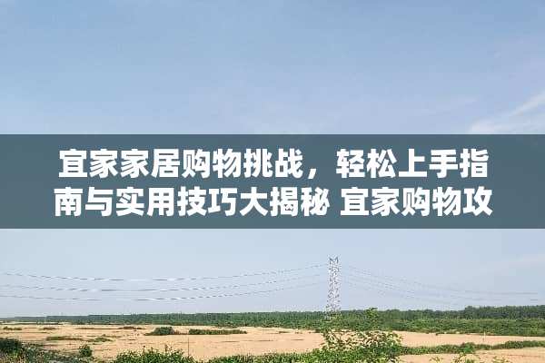 宜家家居购物挑战，轻松上手指南与实用技巧大揭秘 宜家购物攻略游戏推荐