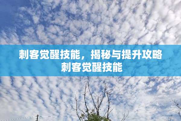 刺客觉醒技能，揭秘与提升攻略 刺客觉醒技能