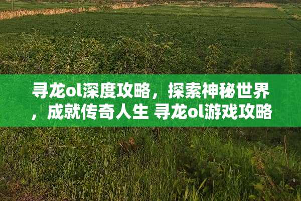 寻龙ol深度攻略，探索神秘世界，成就传奇人生 寻龙ol游戏攻略