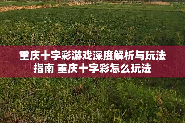重庆十字彩游戏深度解析与玩法指南 重庆十字彩怎么玩法