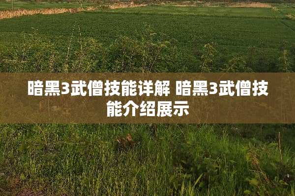 暗黑3武僧技能详解 暗黑3武僧技能介绍展示