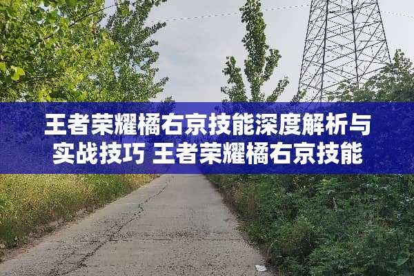 王者荣耀橘右京技能深度解析与实战技巧 王者荣耀橘右京技能