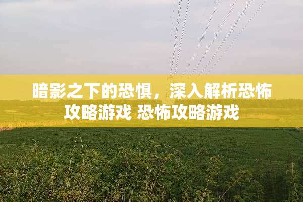 暗影之下的恐惧，深入解析恐怖攻略游戏 恐怖攻略游戏