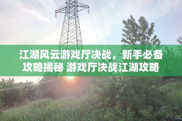 江湖风云游戏厅决战，新手必备攻略揭秘 游戏厅决战江湖攻略