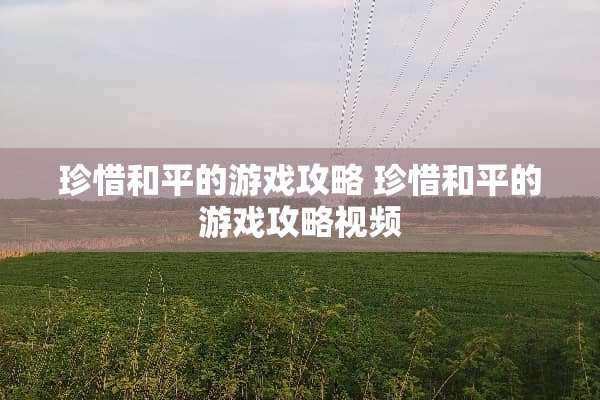 珍惜和平的游戏攻略 珍惜和平的游戏攻略视频