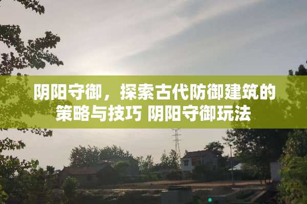*阳守御，探索古代防御建筑的策略与技巧*阳守御玩法