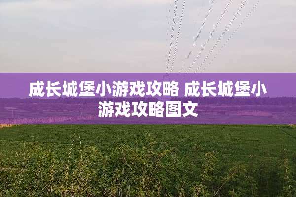 成长城堡小游戏攻略 成长城堡小游戏攻略图文
