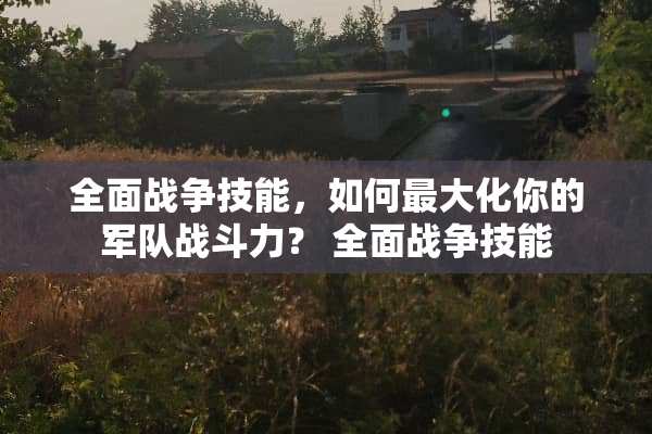全面战争技能，如何最大化你的军队战斗力？ 全面战争技能