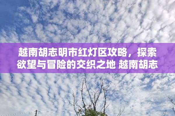 越南胡志明市红灯区攻略，探索欲望与冒险的交织之地 越南胡志明红灯区攻略