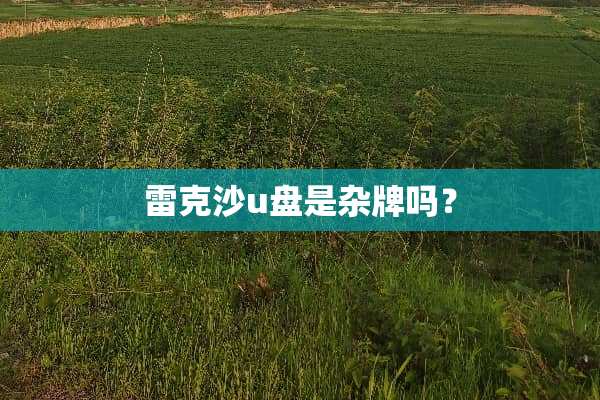 雷克沙u盘是杂牌吗？
