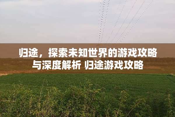 归途，探索未知世界的游戏攻略与深度解析 归途游戏攻略