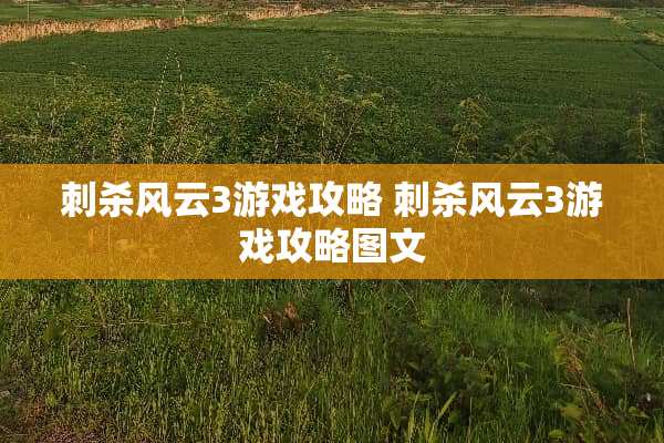 刺杀风云3游戏攻略 刺杀风云3游戏攻略图文