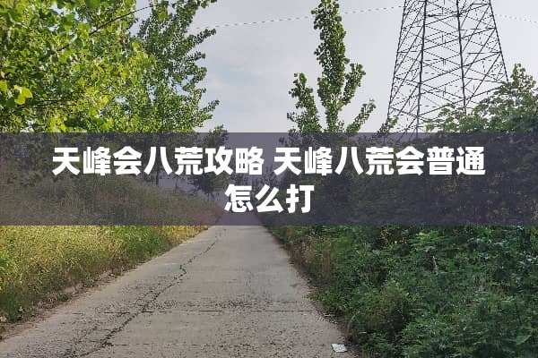 天峰会八荒攻略 天峰八荒会普通怎么打
