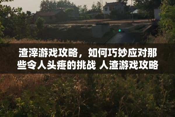 渣滓游戏攻略，如何巧妙应对那些令人头疼的挑战**游戏攻略
