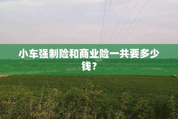 小车强制险和商业险一共要多少钱？