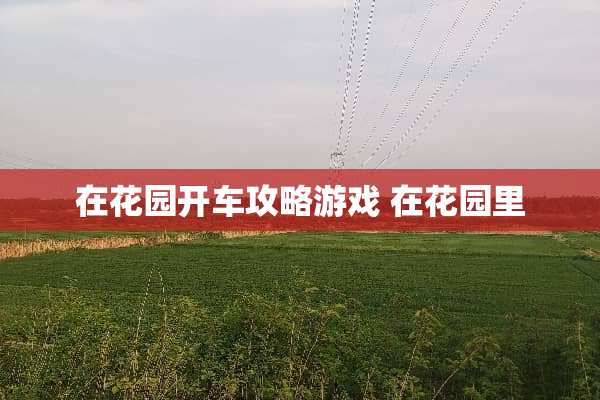 在花园开车攻略游戏 在花园里