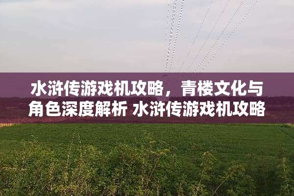 水浒传游戏机攻略，**文化与角色深度解析 水浒传游戏机攻略**