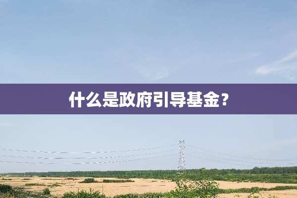 什么是**引导基金？