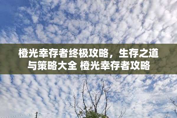 橙光幸存者终极攻略，生存之道与策略大全 橙光幸存者攻略