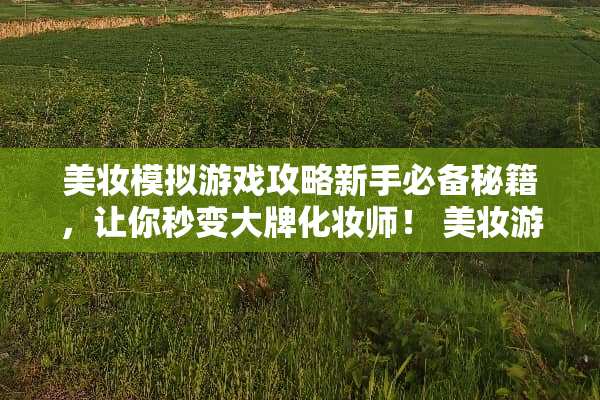 美妆模拟游戏攻略新手必备秘籍，让你秒变大牌化妆师！ 美妆游戏攻略软件