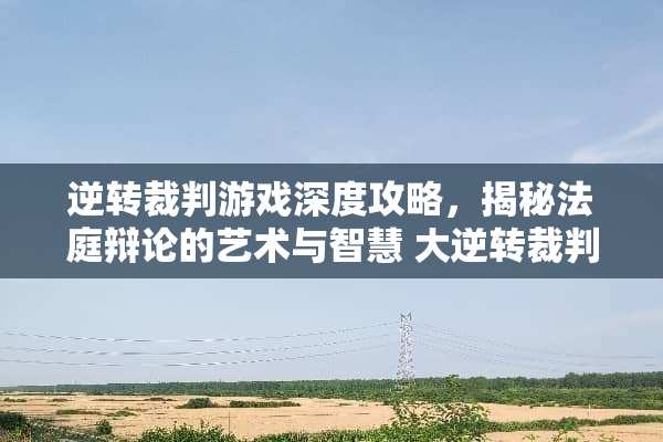 逆转裁判游戏深度攻略，揭秘法庭辩论的艺术与智慧 大逆转裁判攻略