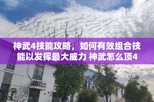 神武4技能攻略，如何有效组合技能以发挥最*** 神武怎么顶4技能