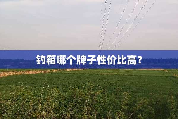 钓箱哪个牌子性价比高？