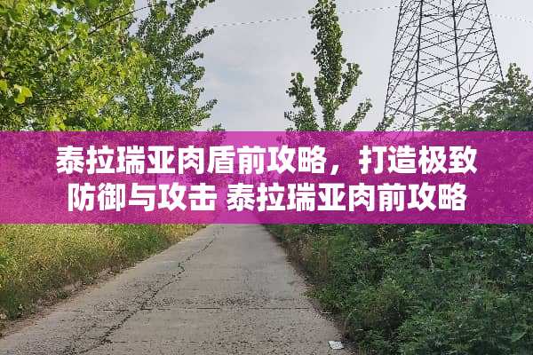 泰拉瑞亚肉盾前攻略，打造极致防御与攻击 泰拉瑞亚肉前攻略