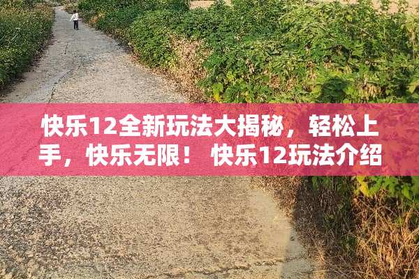 快乐12全新玩法大揭秘，轻松上手，快乐无限！ 快乐12玩法介绍