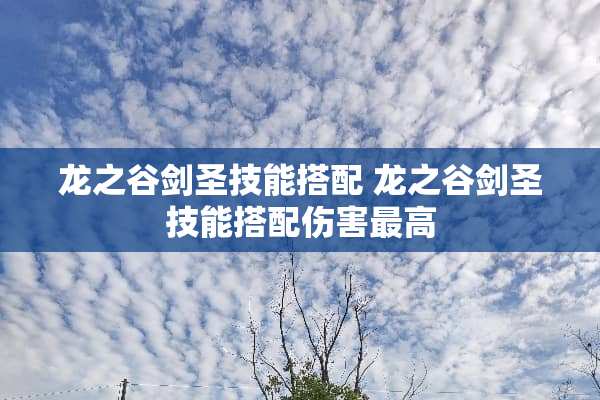 龙之谷剑圣技能搭配 龙之谷剑圣技能搭配伤害最高