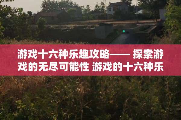 游戏十六种乐趣攻略—— 探索游戏的无尽可能性 游戏的十六种乐趣攻略