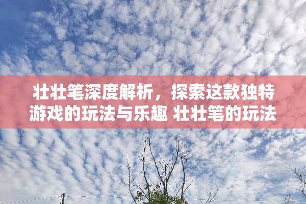 壮壮笔深度解析，探索这款独特游戏的玩法与乐趣 壮壮笔的玩法