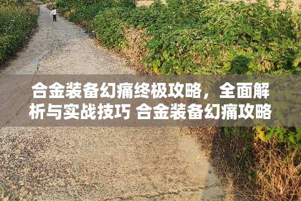 合金装备幻痛终极攻略，全面解析与实战技巧 合金装备幻痛攻略