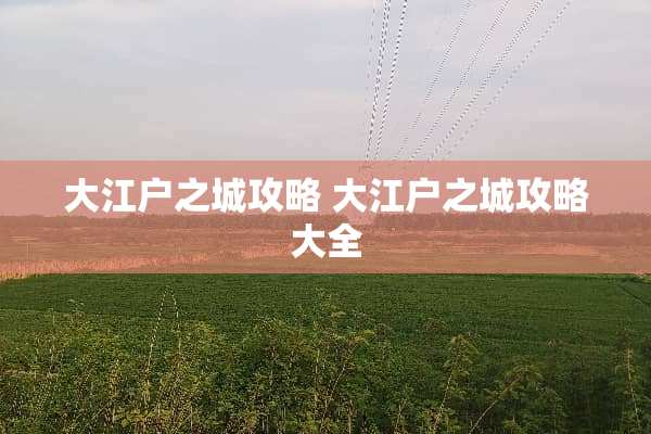 大江户之城攻略 大江户之城攻略大全