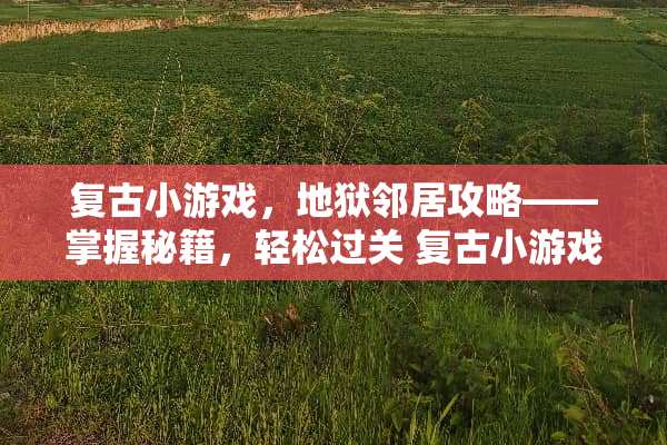 复古小游戏，地狱邻居攻略——掌握秘籍，轻松过关 复古小游戏地狱邻居攻略