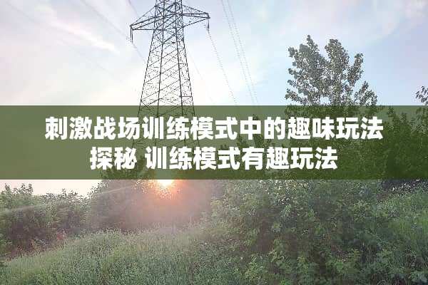**战场训练模式中的趣味玩法探秘 训练模式有趣玩法