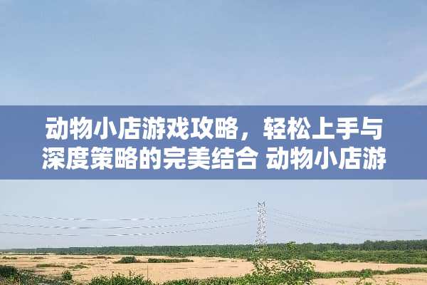 动物小店游戏攻略，轻松上手与深度策略的完美结合 动物小店游戏攻略