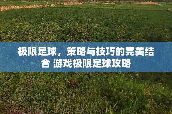 极限**，策略与技巧的完美结合 游戏极限**攻略