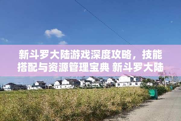 新斗罗**游戏深度攻略，技能搭配与资源管理宝典 新斗罗**游戏攻略