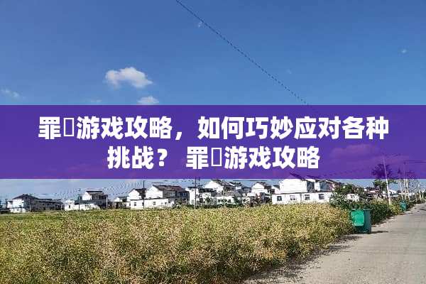 罪囧游戏攻略，如何巧妙应对各种挑战？ 罪囧游戏攻略