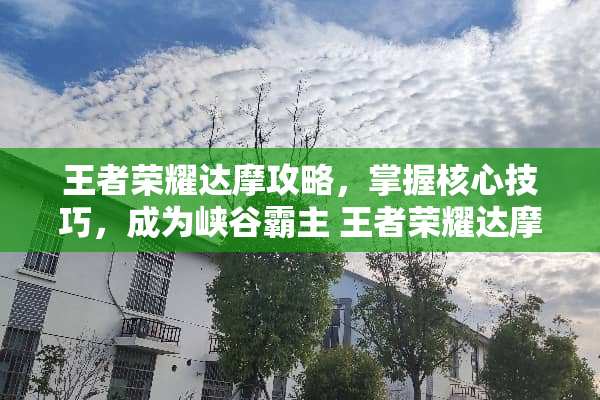 王者荣耀达摩攻略，掌握核心技巧，成为峡谷霸主 王者荣耀达摩攻略
