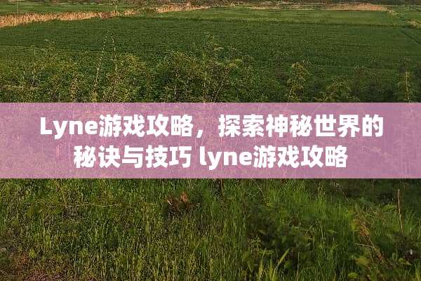 Lyne游戏攻略，探索神秘世界的秘诀与技巧 lyne游戏攻略