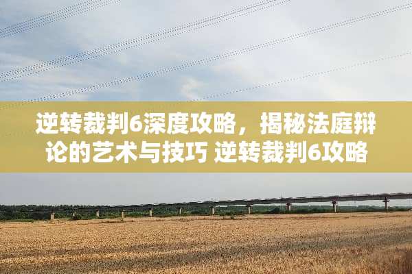 逆转裁判6深度攻略，揭秘法庭辩论的艺术与技巧 逆转裁判6攻略